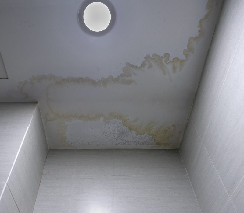 Mildew stains at ceiling